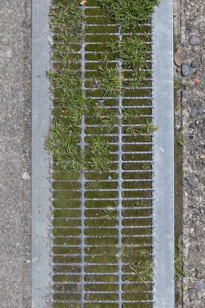 Drainage System Unclogging